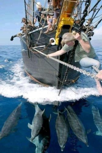 tumblr_6eef032d2a60873f119b1d2660414ce9_0947f33c_540