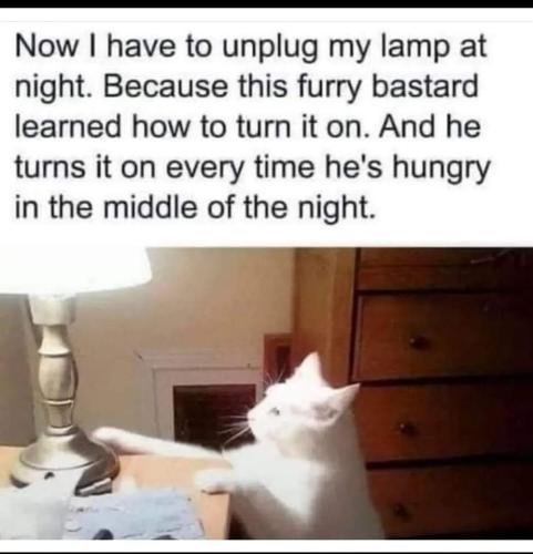 FB_IMG_1663394790435