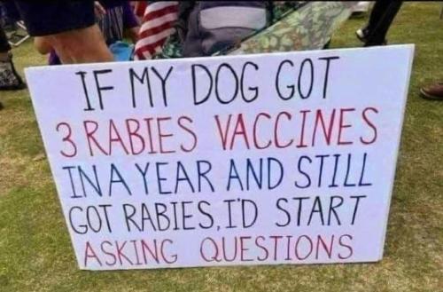 FB_IMG_1659284357575