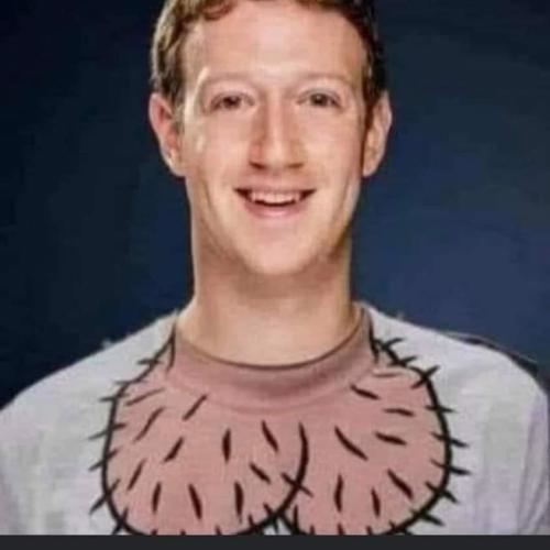 FB_IMG_1662059944427