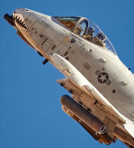 306122201_133375922757058_3406282502903736861_n