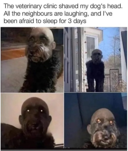 captures_chrome-capture-2022-8-19 (6)