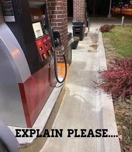 FB_IMG_1663958167446