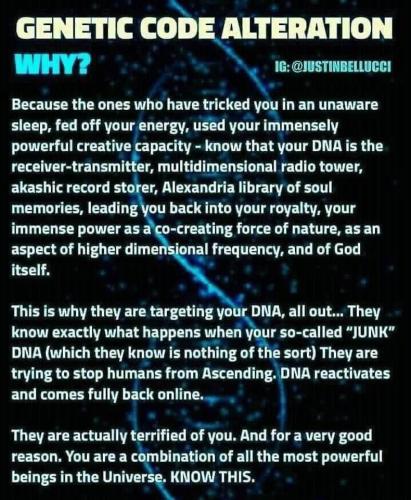 7666C6FD-1563-4EE8-83AA-5970A22ED4D3-2355-000029FAB498FF8F