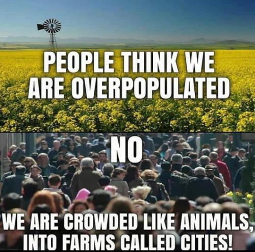 08:42:58 GMT-0500 (CDT)