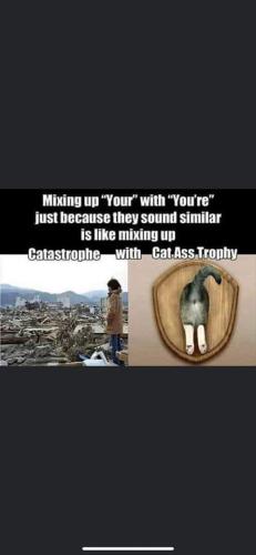 FB_IMG_1664382121341