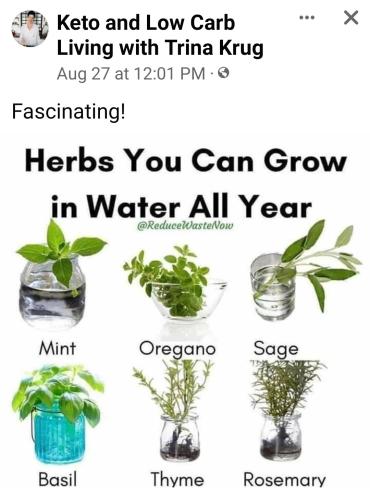 Screenshot_2022-09-01-20-13-17-437_com.facebook.katana