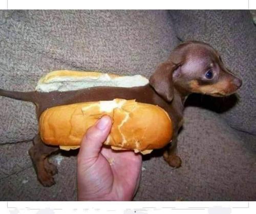 FB_IMG_1662532553992