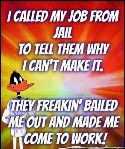 FB_IMG_1661894625990