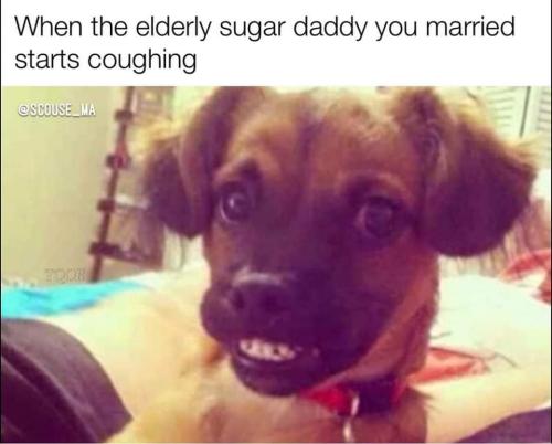 FB_IMG_1662656698700