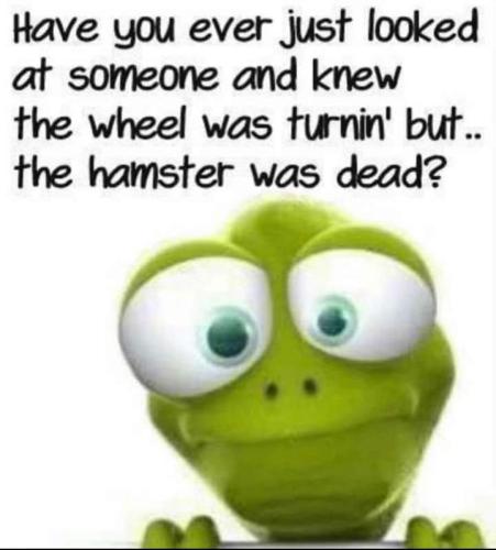 FB_IMG_1662761157175