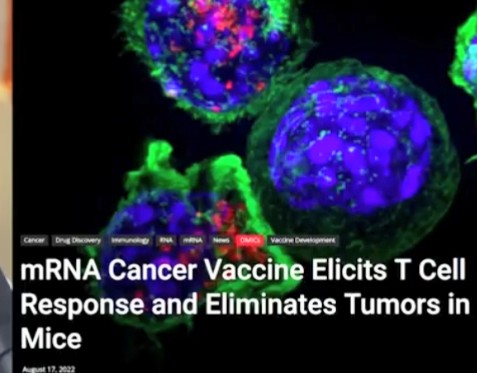 Screenshot_2022-09-19-15-28-42-664_com.camerasideas.trimmer