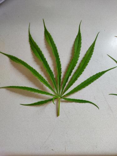 IMG_20220910_143643_HDR