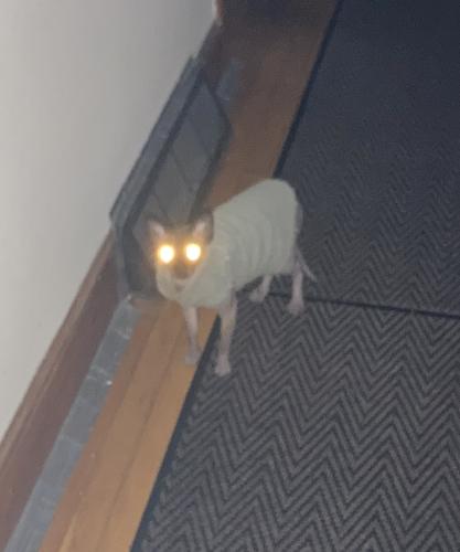 Night vision enagaged