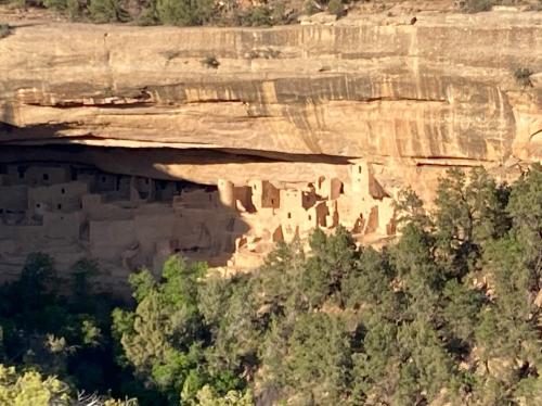 D5C56020-9AB1-4AF7-872B-ABD9776894A5