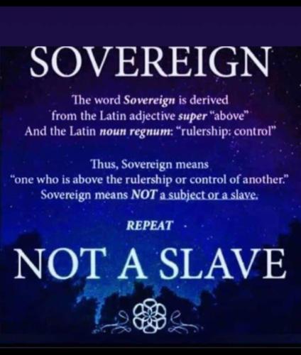 Screenshot_2022-09-14-18-38-51-38_97a2cc1df75455058e89d0e079c79104