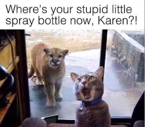 FB_IMG_1664209552814