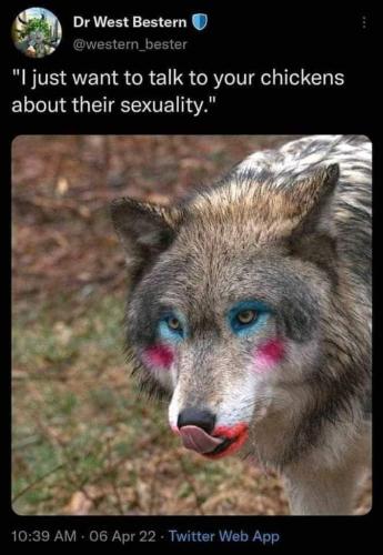 FB_IMG_1654397894935