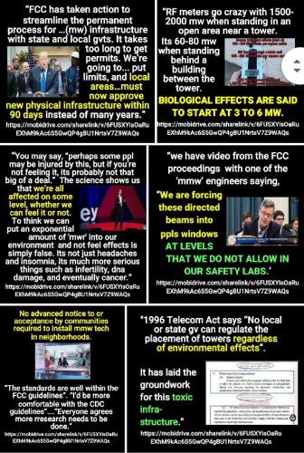 Screenshot_2022-09-09-08-38-23-978_com.google.android.apps.photos