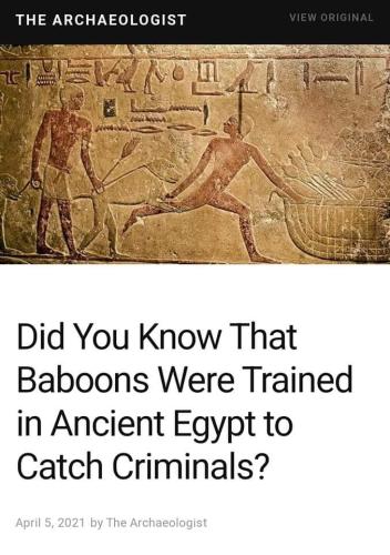 FB_IMG_1663178606363