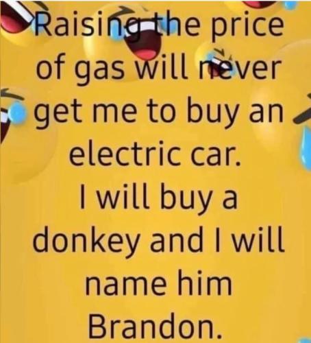 donkey