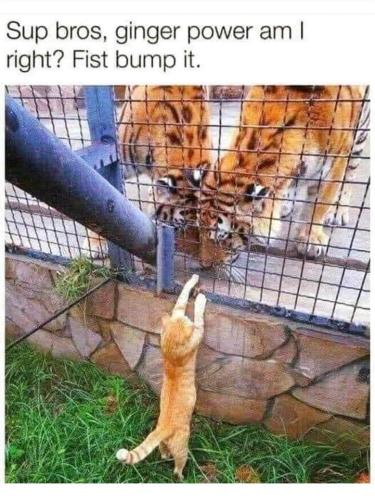 FB_IMG_1663654515078