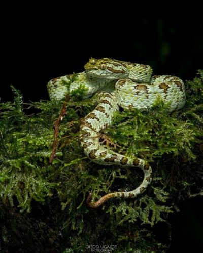 302204193_5201239279987906_3790398864647380316_n