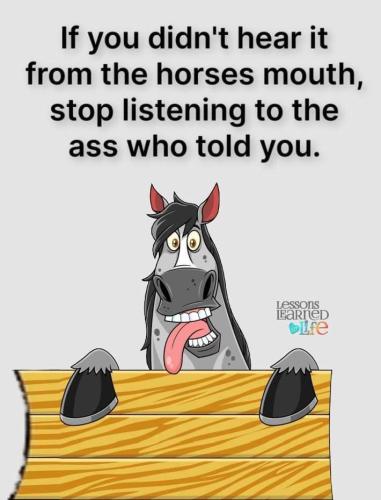 FB_IMG_1661892394162