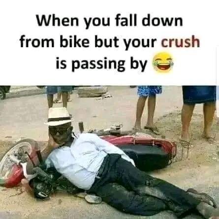 FB_IMG_1664462695075