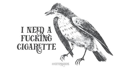 302005491_5555402881186009_3872685600598328192_n