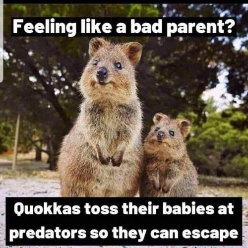 FB_IMG_1663957607251