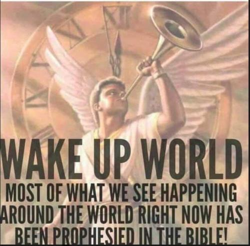 FB_IMG_1657764007997