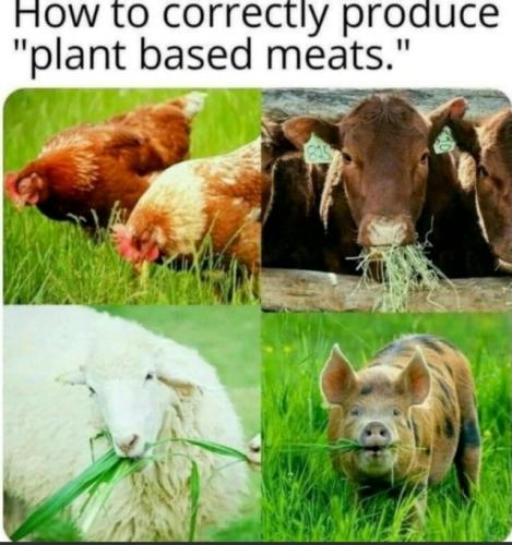 tumblr_78f85826d3aa8d55064d1379920311be_dbf20064_640