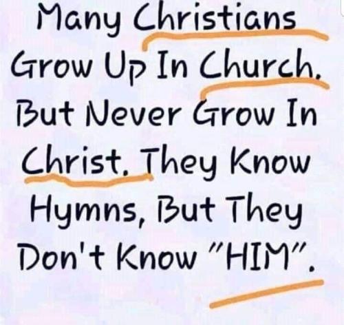 FB_IMG_1664212640903