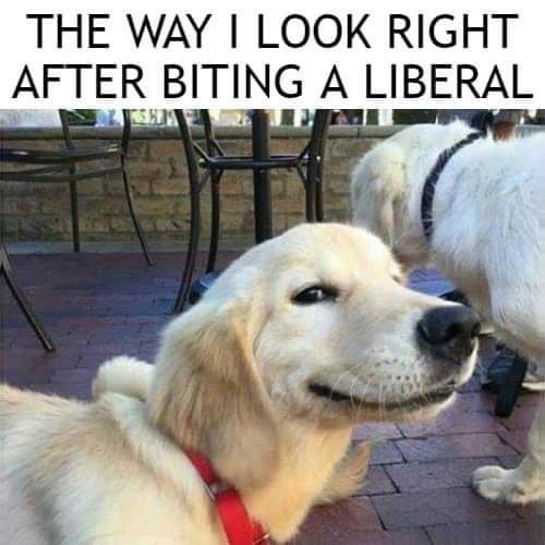 FB_IMG_1663051747546
