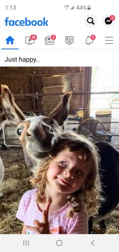 Screenshot_20220907-011322_Facebook