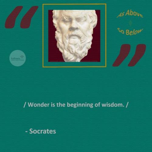 299867455_490610216402809_4127864465696612120_n