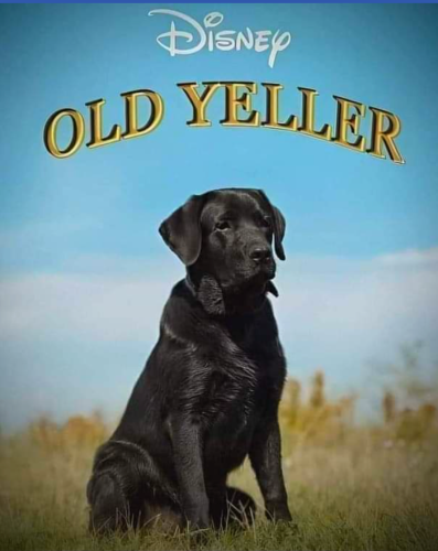 Screenshot_20220923-195435~2