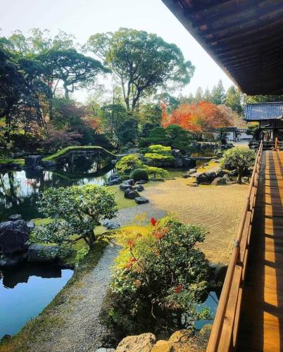 304529502_415924080529166_7835552714561988580_n