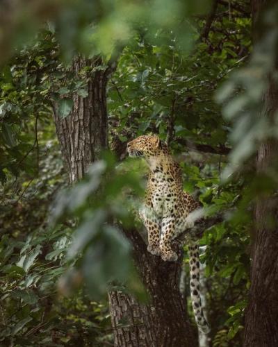 tumblr_db26f9033d671a72c841b20662fbf5f1_3a0d2e8c_540