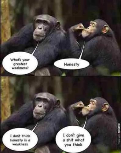 FB_IMG_1662761009111