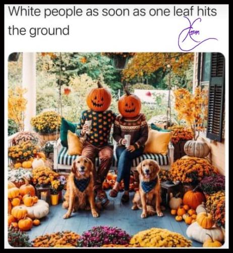 307920565_410415511240263_3385743452676847861_n