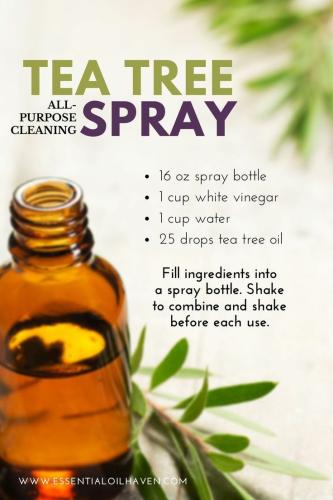 04:08:38 GMT-0500 (CDT)