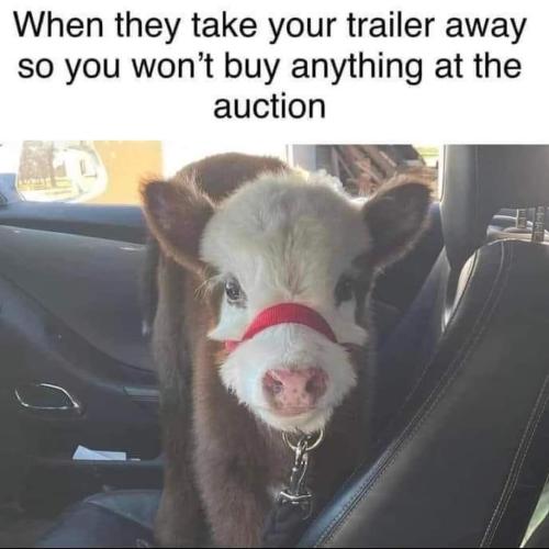 FB_IMG_1663878285290