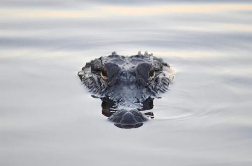 thinkstockphotos-477951415