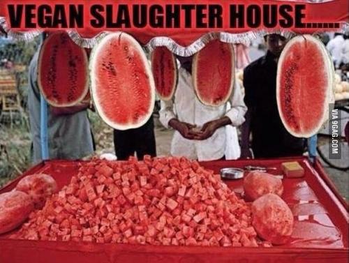 300796779_3340124792922988_1377041130449653653_n