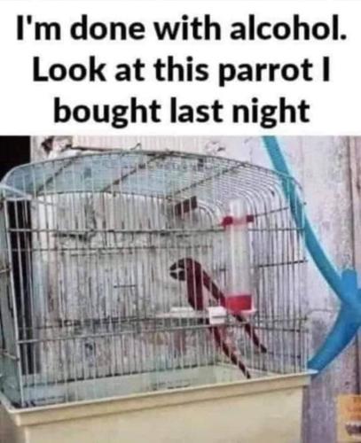 FB_IMG_1664547808229