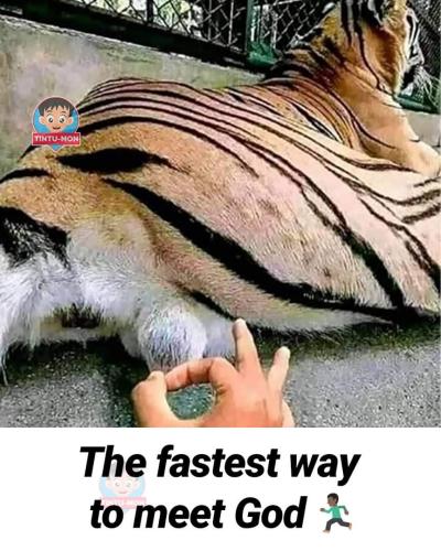FB_IMG_1664550989819