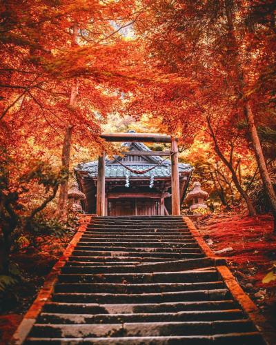 295106918_3278674919070387_542114923432470178_n