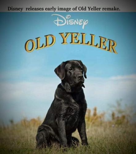 FB_IMG_1663552892781